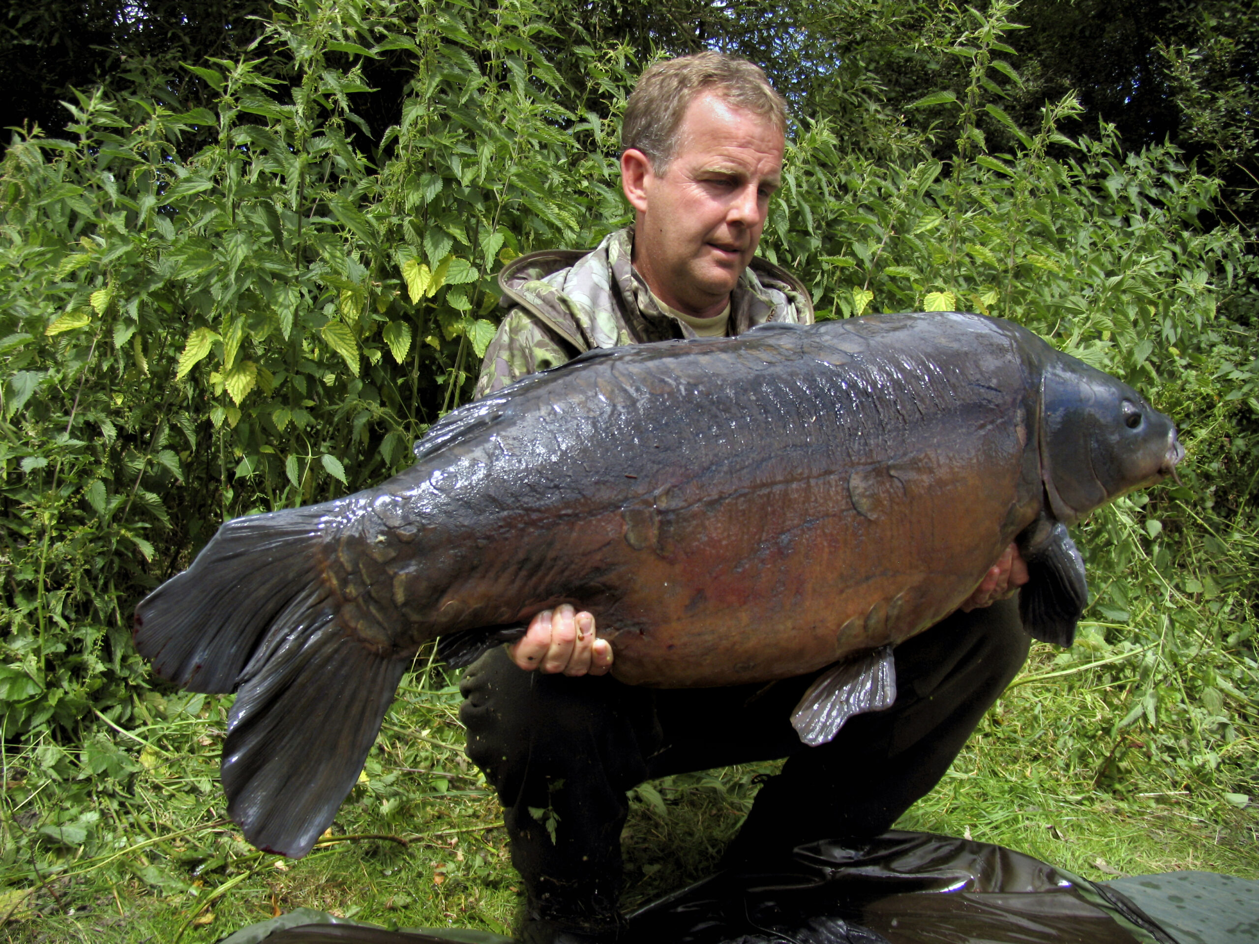 About us - Sanctuary Carp